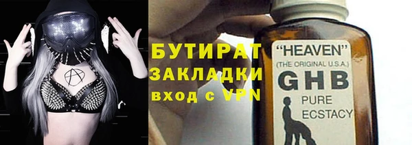 индика Аркадак