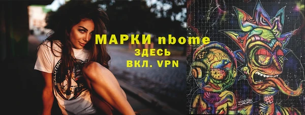 индика Аркадак